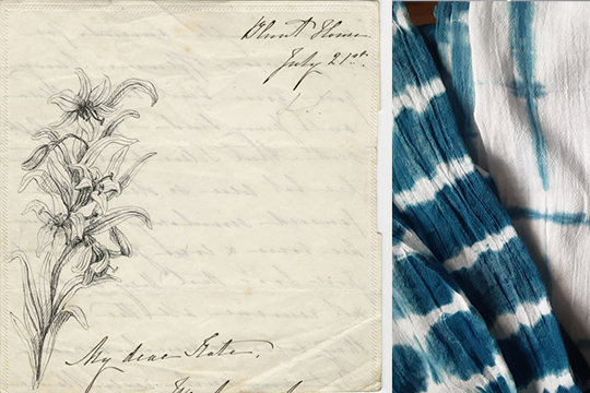 A papyrus postcard on the left with a perennial plant sprouting from the bottom left corner, a worn out cloth with a striped pattern on the right