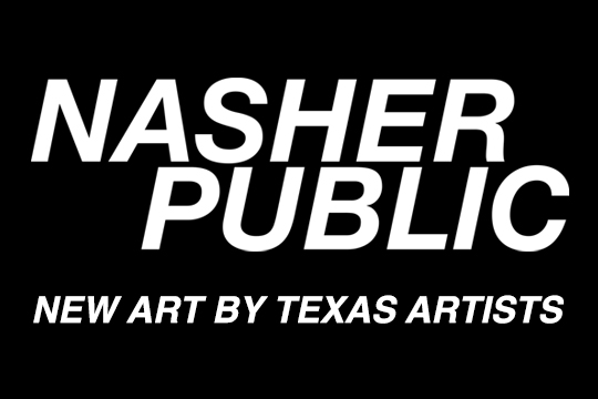 White text on a black background. The logo image for Nasher Public.