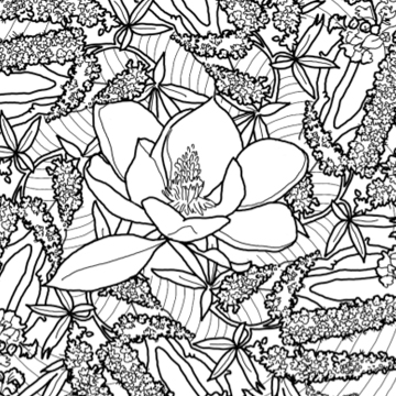 Drawing of magnolia blossom and vitex flowers.