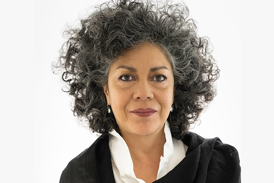 2016 Nasher Prize Laureate, Doris Salcedo portrait