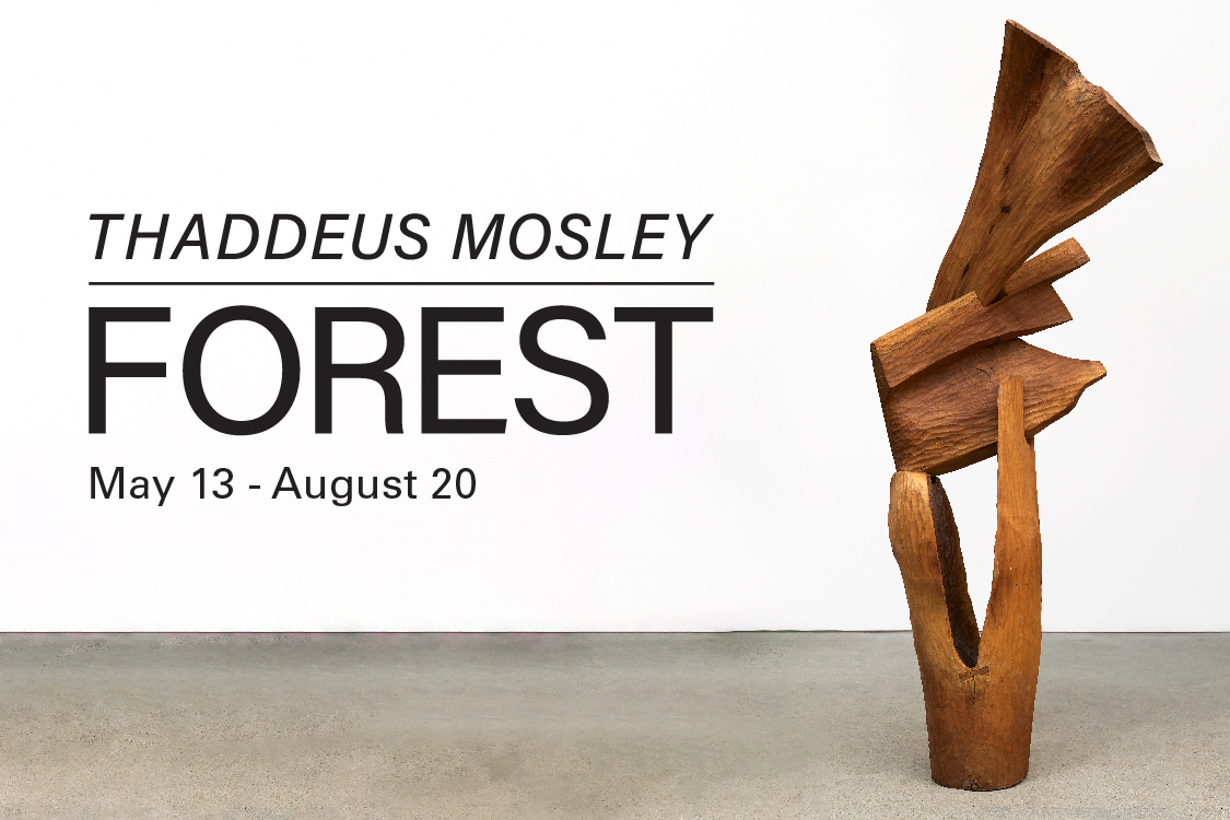 Thaddeus Mosley: Forest 