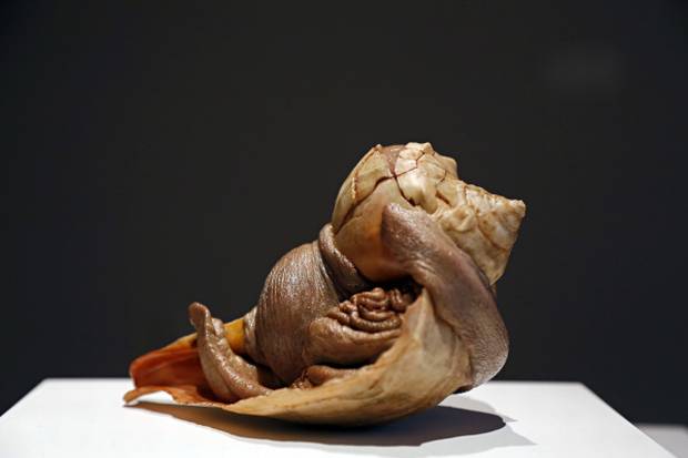 Erick Swenson at the Nasher is his first museum show in Dallas