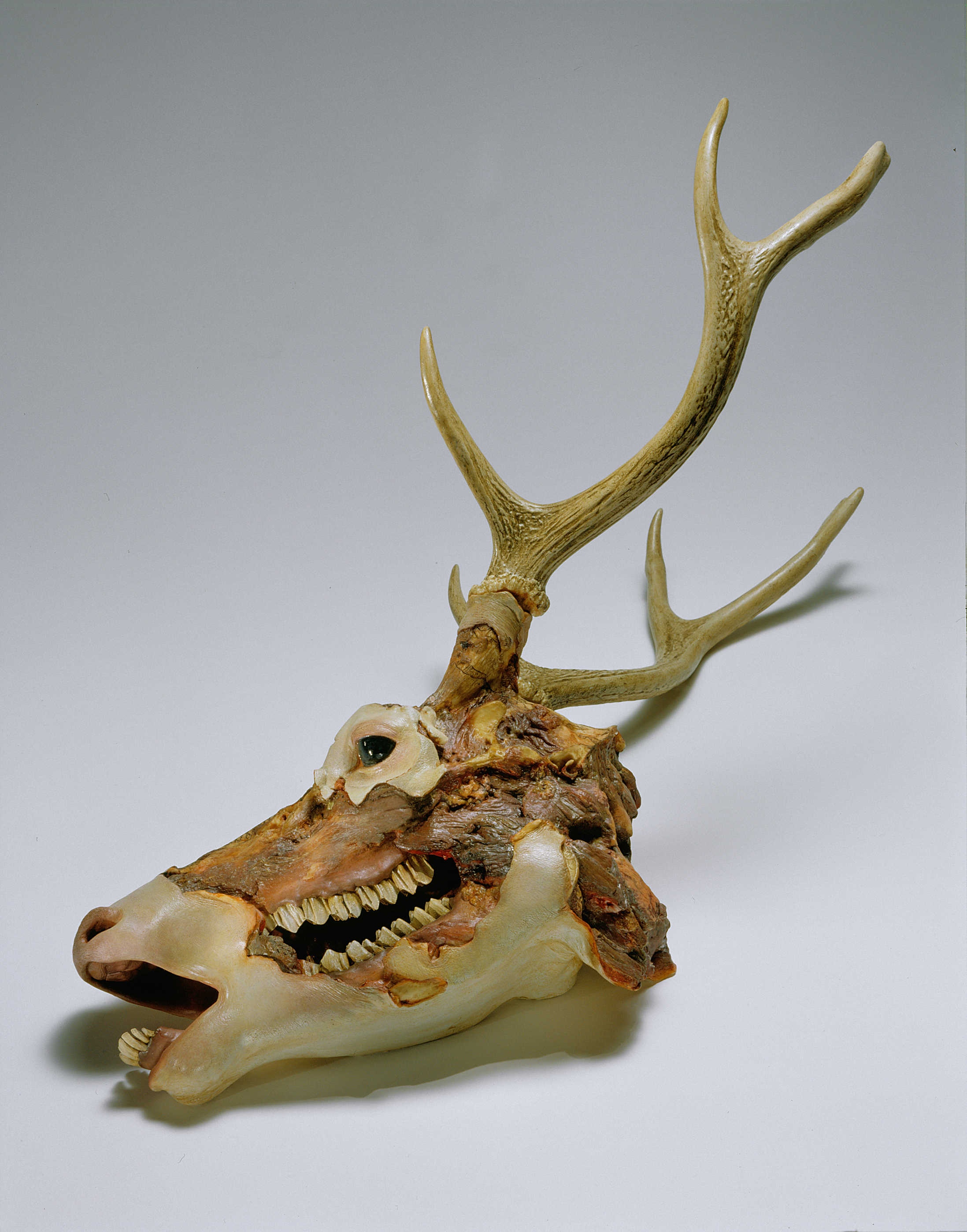 Sightings: Erick Swenson is on view at the Nasher Sculpture Center