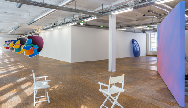 Alex Israel Installation