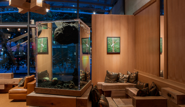 Chalet Dallas