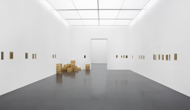 Doris Salcedo
