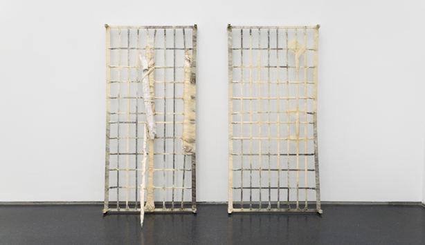 Doris Salcedo Nasher Prize Winner