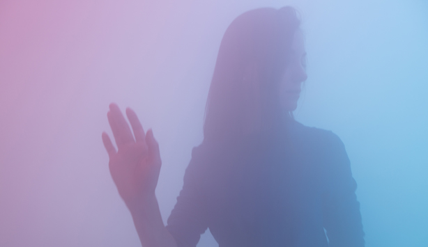 Ann Veronica Janssens