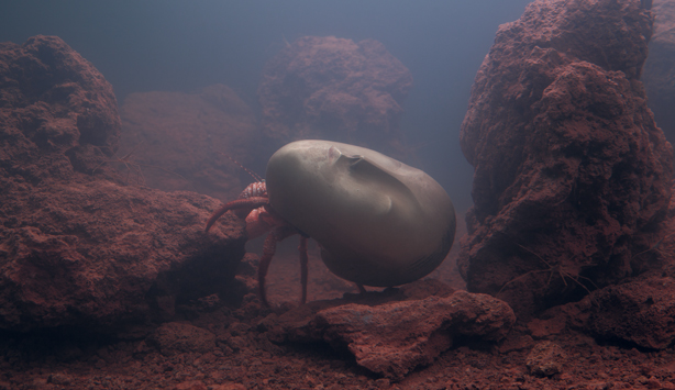 Pierre Huyghe