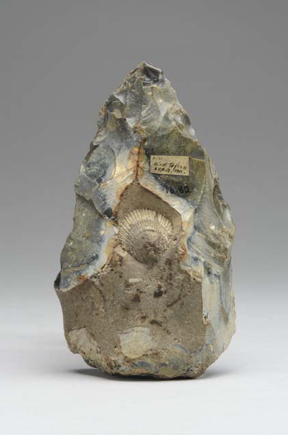 West Tofts Handaxe with fossilized shell inclusion, MAA, University of Cambridge