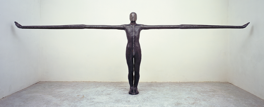 Antony Gormley, FIELD