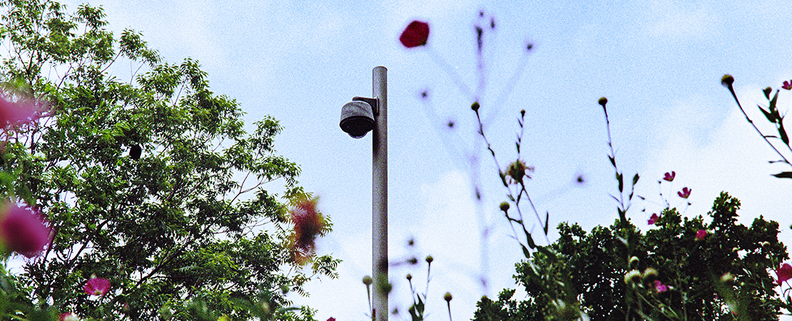 A surveillance camera in focus behind trees and pink wildflowers
