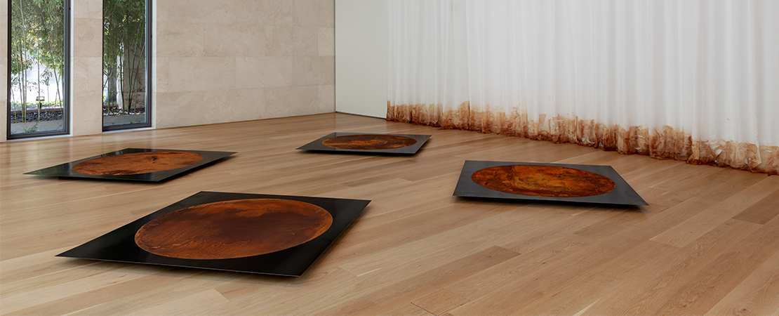 Linnea Glatt, ?'Of Rust and Moth,' 2023.? Installation view, ?'Nasher Public: Linnea Glatt,' Nasher Sculpture Center, September 30 – December 3, 2023. ? Photo: Kevin Todora