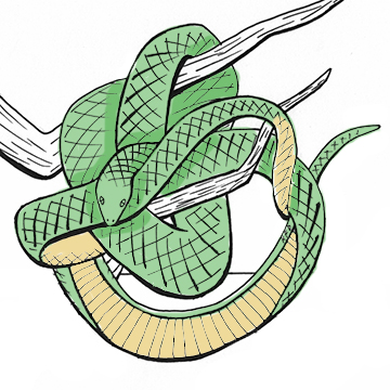 Drawing of a snake