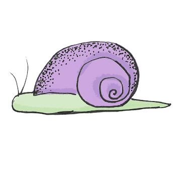 Drawing of a snail