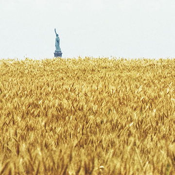 Image of the statue of liberty seen in the distance across a wheatfield