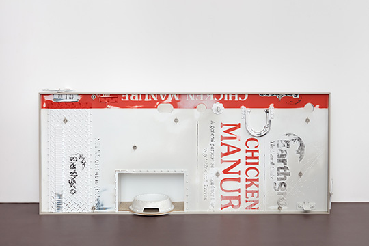 reus-clay-wolf-540x360