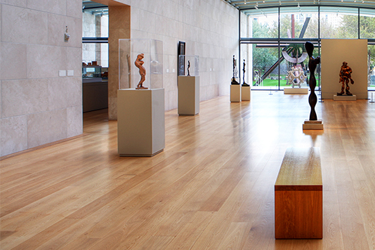 nsc-gallery-view-540x360